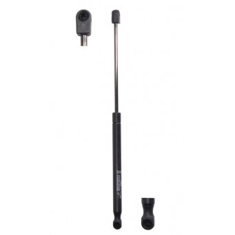 Bagažinės amortizatorius Renault Megane II Cabrio 2003-2010