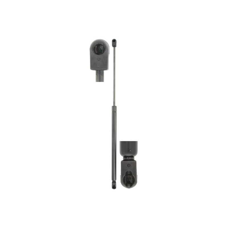 Bagažinės amortizatorius Renault Megane II Sport Tourer 2003-2012 Bagažinės amortizatorius Renault Megane II Sport Tourer 2003-2012