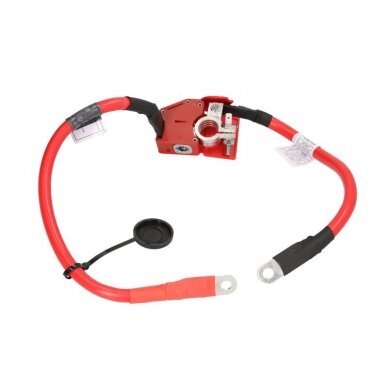 BMW 3 serija (F30/F31) pliusinis laidas BMW 3 serija (F30/F31) pliusinis laidas