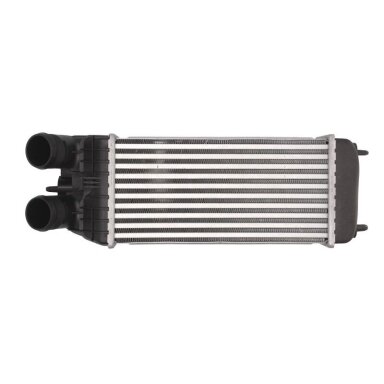 PEUGEOT 301 (nuo 2012 - ) interkuleris