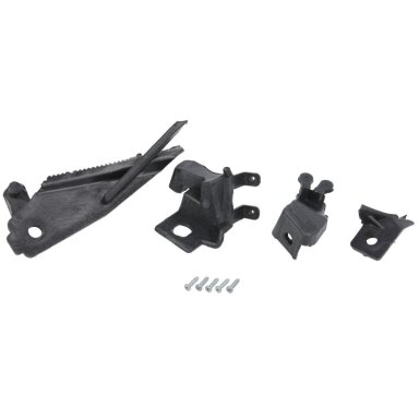 Priekinių žibintų remonto komplektas RENAULT MEGANE IV 11.15-05.20