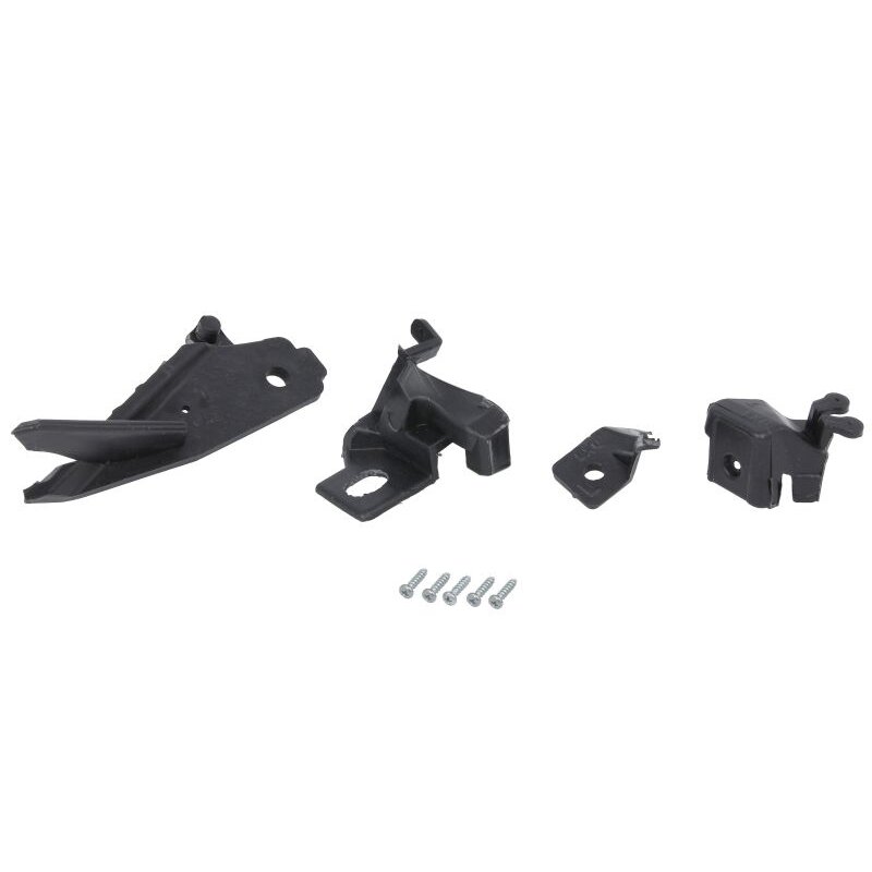 Priekinių žibintų remonto komplektas RENAULT MEGANE IV 11.15-05.20