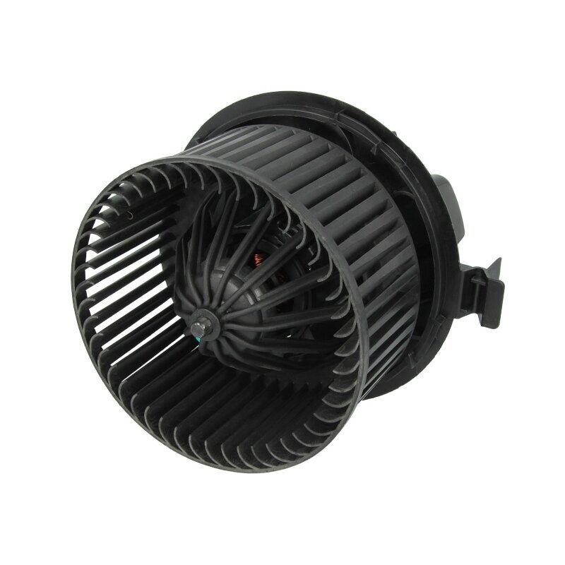 Renault Clio III (2005 - 2012) salono pečiuko ventiliatorius Renault Clio III (2005 - 2012) salono pečiuko ventiliatorius